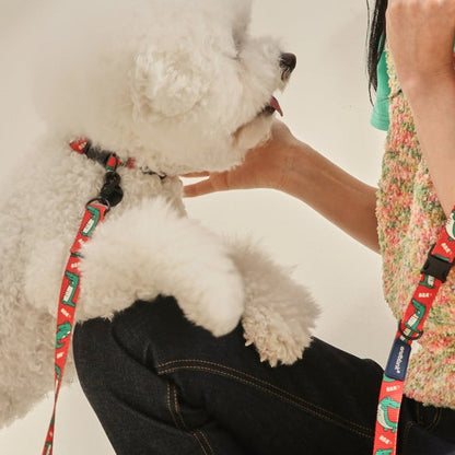 Lazy Crocodile Pet Collar - Tangerine