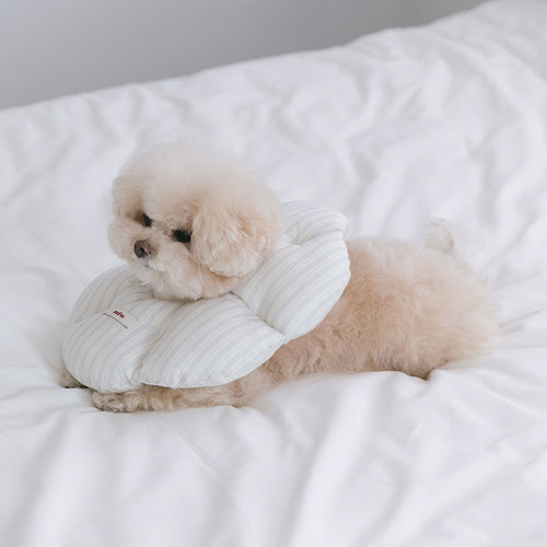 Cloud Neck Collar - 4 Sizes
