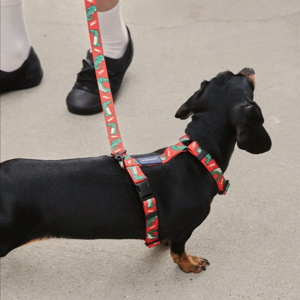 Lazy Crocodile Pet Harness - Tangerine