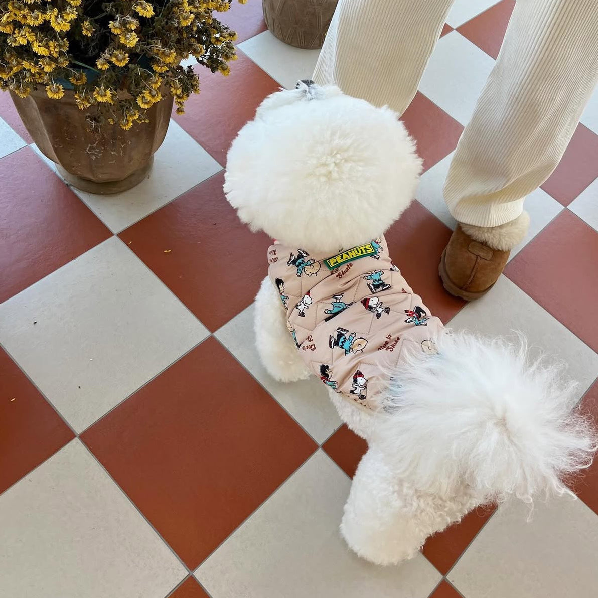 Snoopy Skate Padding Jacket - 2 Colors