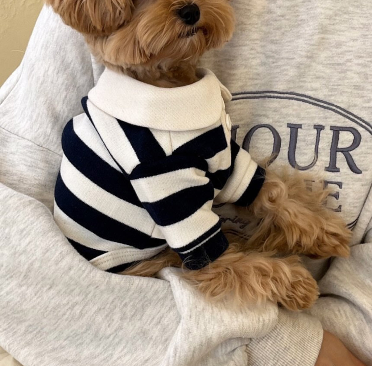 Classic Striped Polo Shirt - 2 Colors