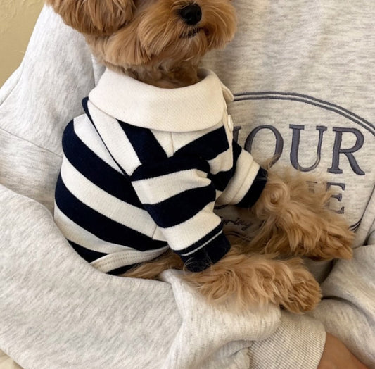 Classic Striped Polo Shirt - 2 Colors