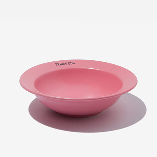 Mini Dish - Coral Pink