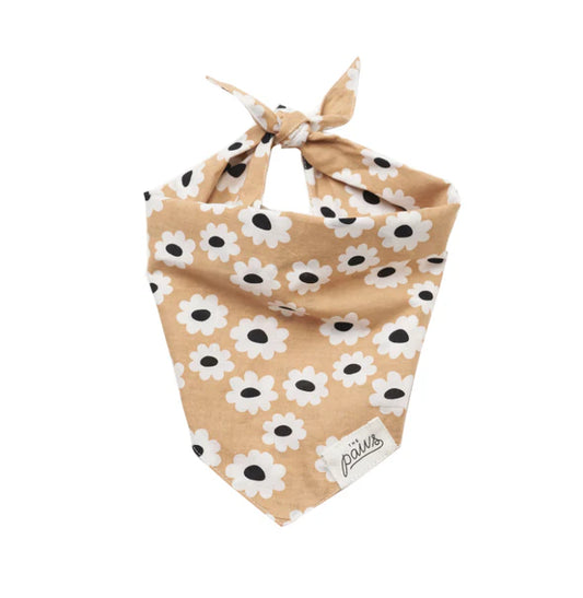 Sierra Daisies Bandana