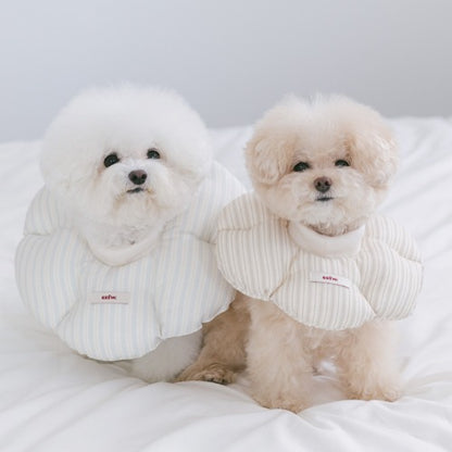 Cloud Neck Collar - 4 Sizes
