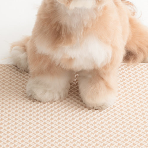 Zero Guard Silicone Mat - 2 Colors