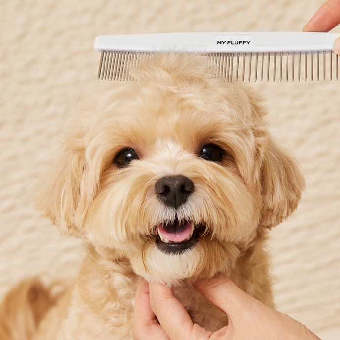 Straight Dual Comb