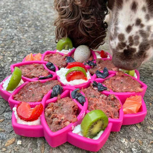 Mandala Etray Enrichment Tray - Pink