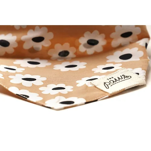 Sierra Daisies Bandana