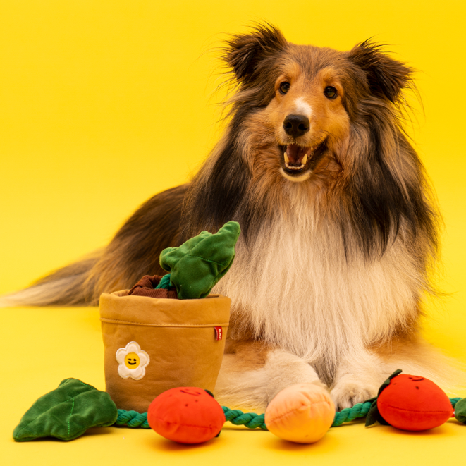 Strawberry Tug Toy