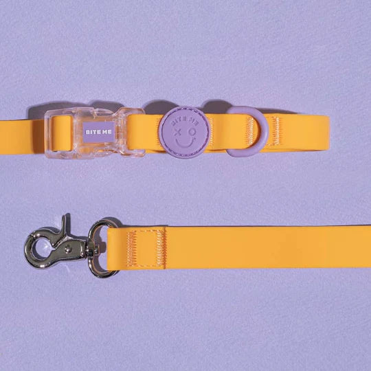 Macaron Hands-free Waterproof Leash - Honey Yellow