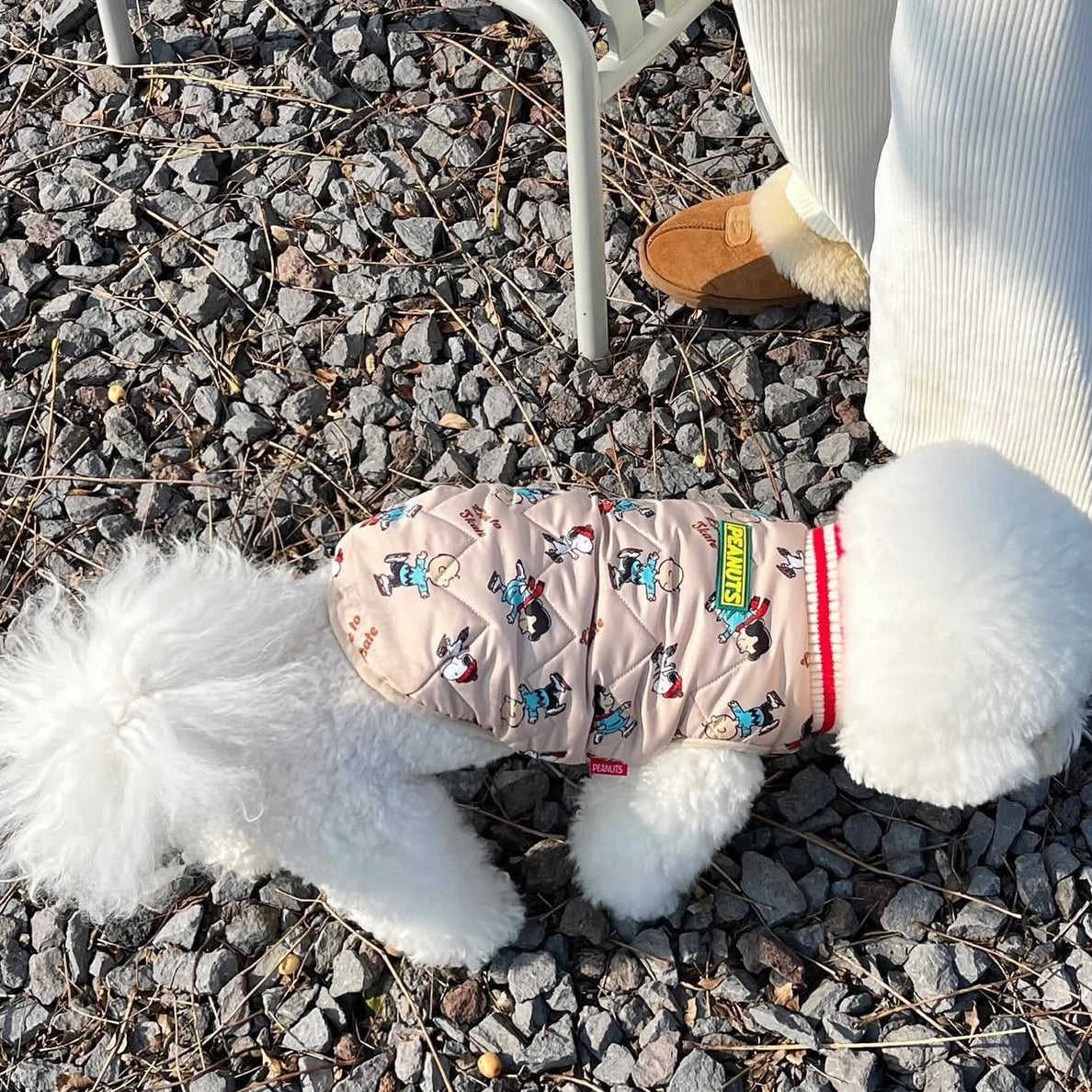 Snoopy Skate Padding Jacket - 2 Colors