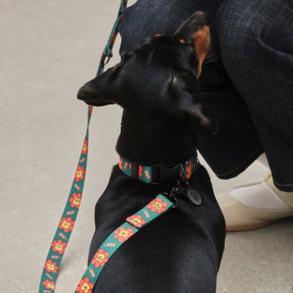 Flower Lion Pet Collar - Green