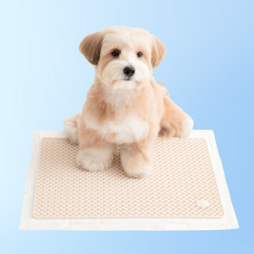 Zero Guard Silicone Mat - 2 Colors