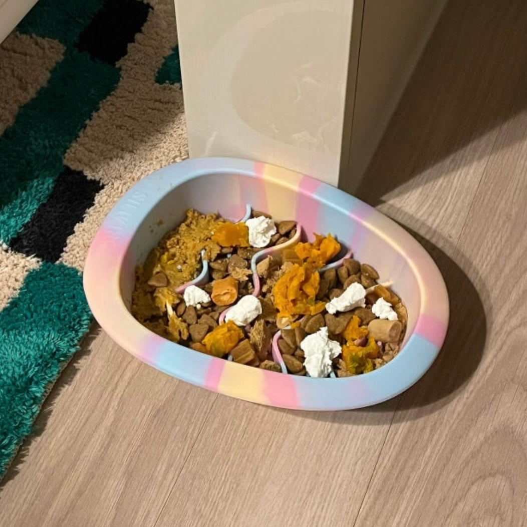 Siliking Medium Egg Bowl - 5 Colors