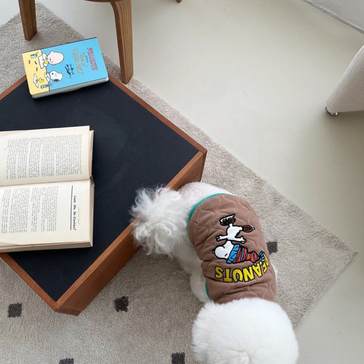 Snoopy Wave Reversible Jacket - 2 Colors