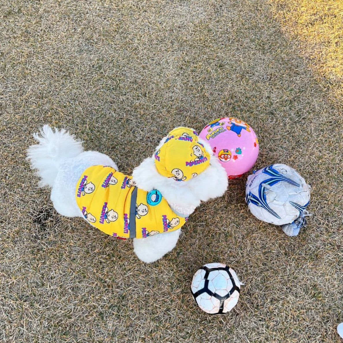 Snoopy Back Hug Padding Set - 2 Colors