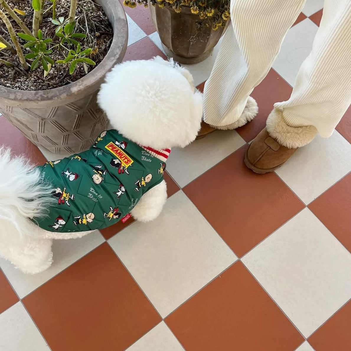 Snoopy Skate Padding Jacket - 2 Colors