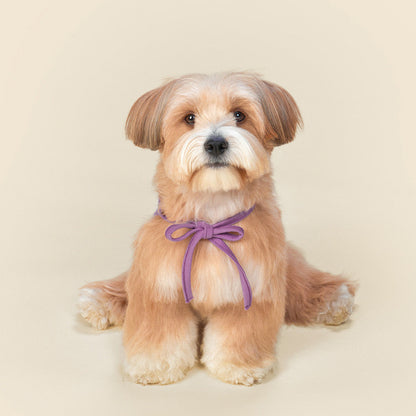 Sanrio Pet Bib - 3 Colors