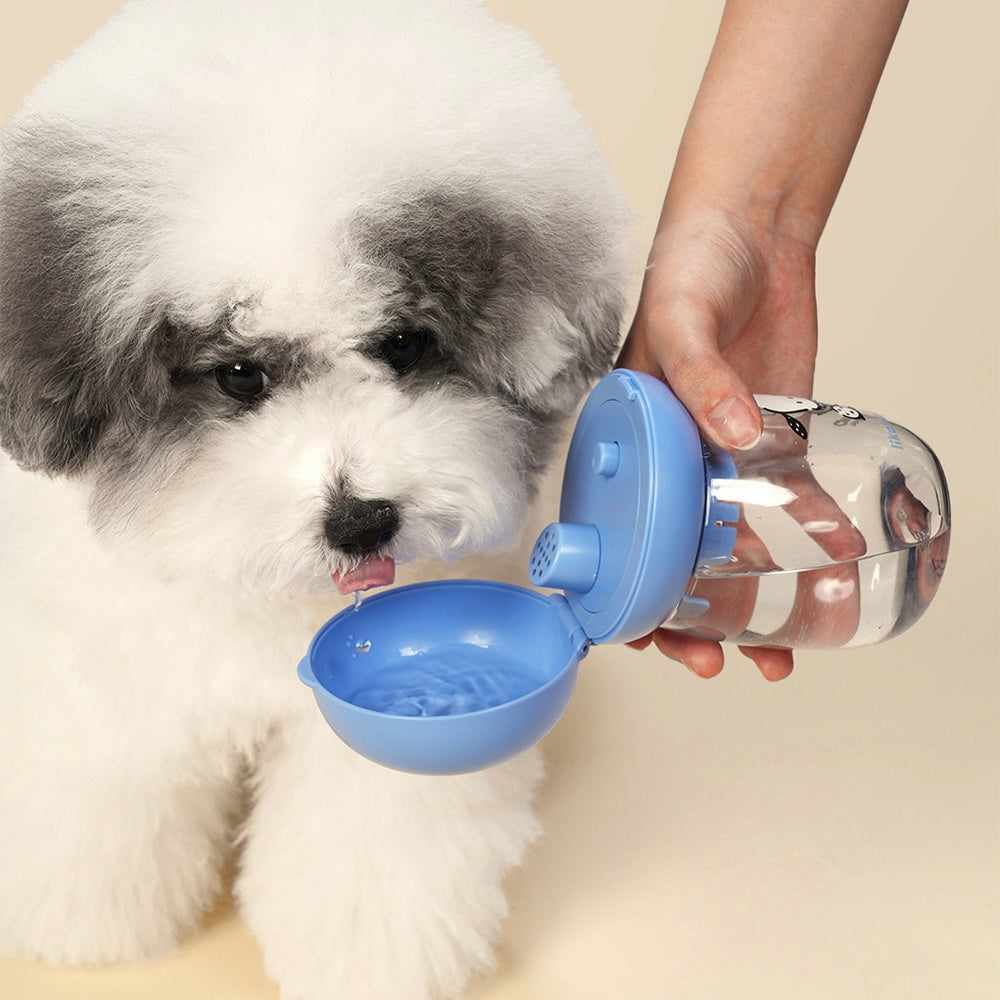 Sanrio One-Touch Walking Water Bottle - 3 Colors