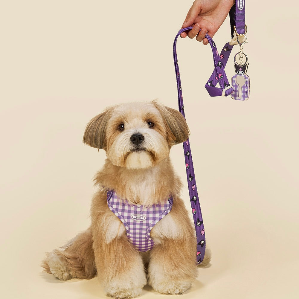 Sanrio Hands-Free Leash - 3 Colors