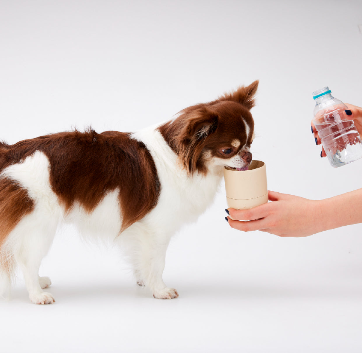 Portable Water Bottle & Snack Bottle - 3 Colors