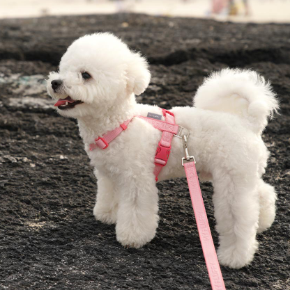 My Fluffy Fit Band Harness - 4 Colors