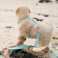 My Fluffy Fit Band Harness - 4 Colors