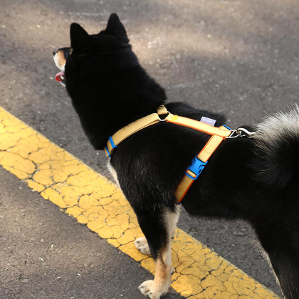 My Fluffy Fit Band Harness - 4 Colors