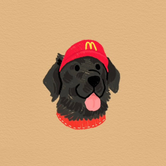 Custom Pet Illustration Keyring