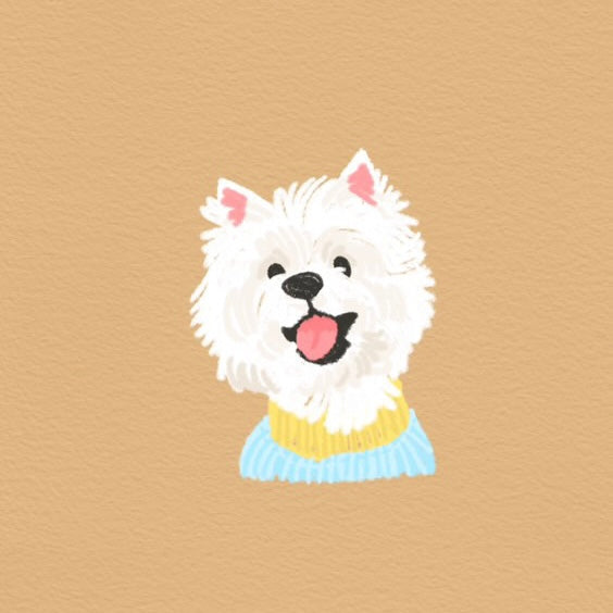 Custom Pet Illustration Keyring