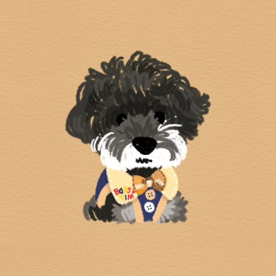 Custom Pet Illustration Keyring