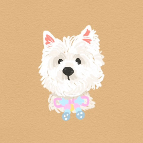 Custom Pet Illustration Keyring