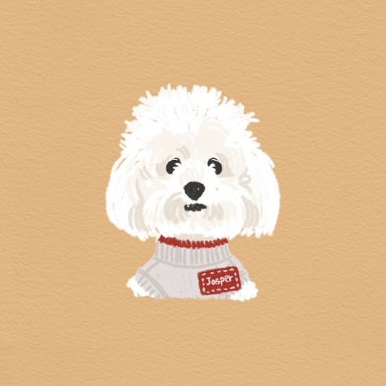 Custom Pet Illustration Keyring