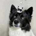Custom Pet Illustration Keyring