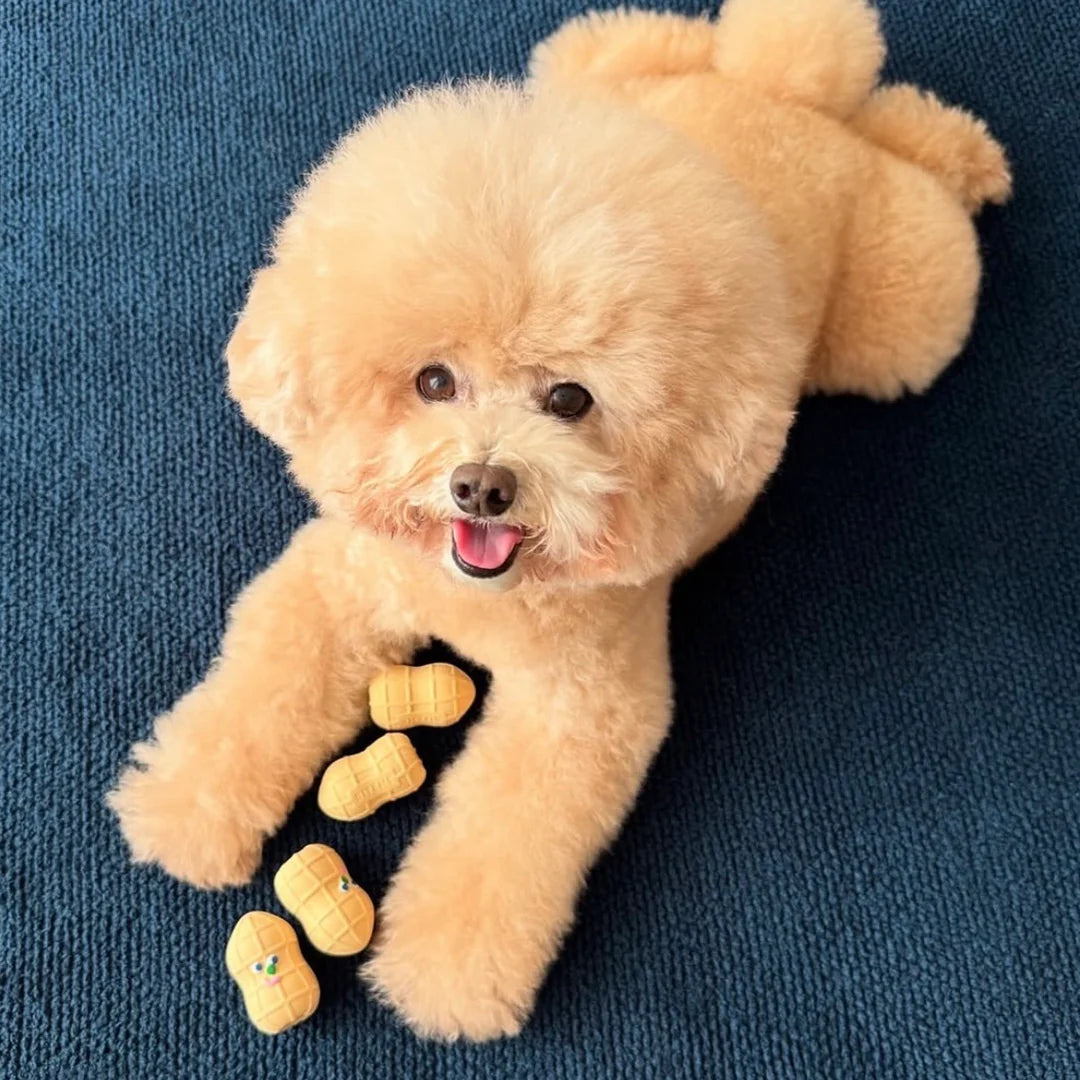 Peanut Latex Toy