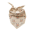 Frosty Bandana