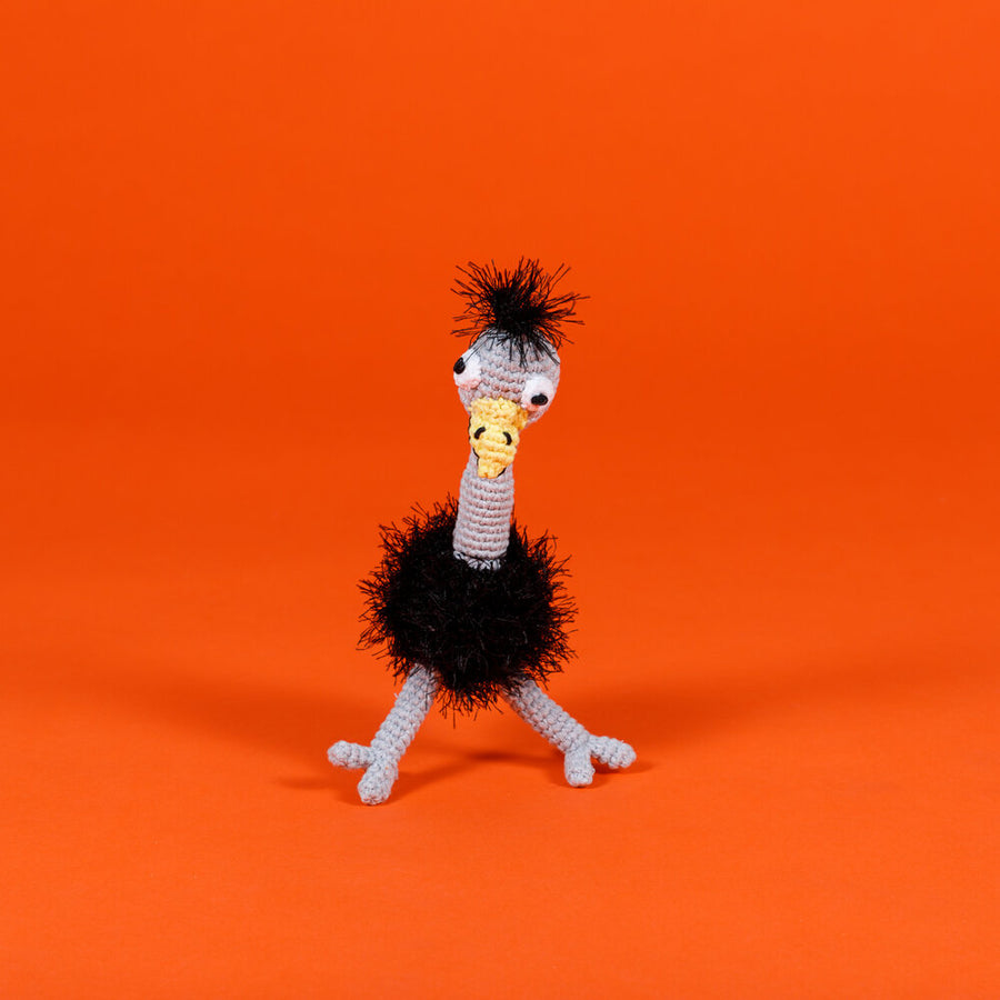 Hand Crochet Ostrich Dog Toy