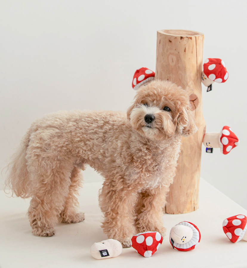 Mushroom Nosework Toy