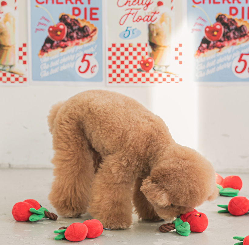 Cherry Tug Toy