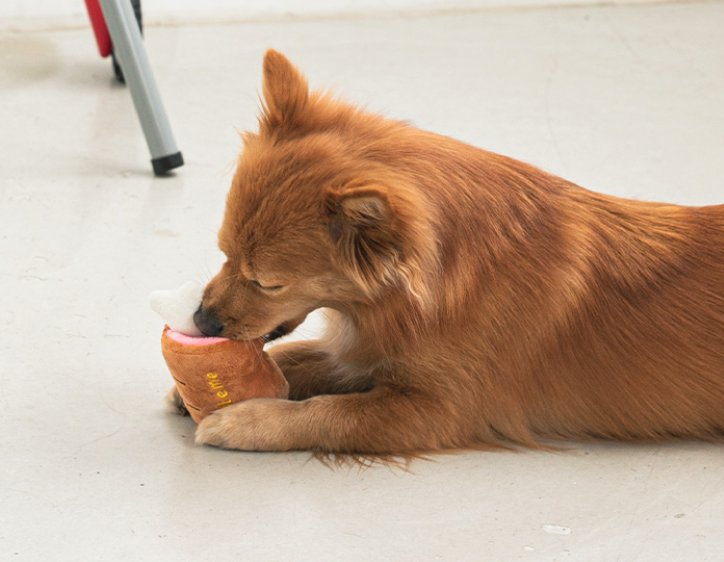 BBQ Meat Nosework Toy