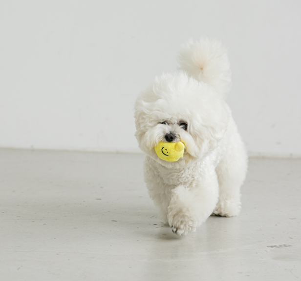 Lemonade Nosework Toy