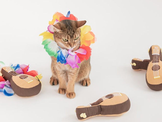 Ukulele Catnip Cat Toy