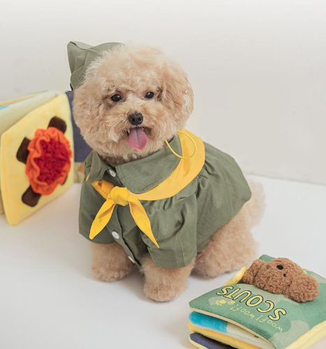 Scout Playbook Nosework Toy