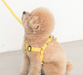 Candy Crayon Harness - 6 Colors