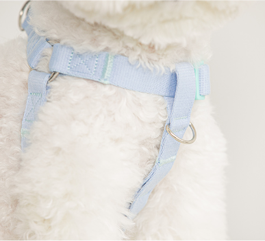 Candy Crayon Harness - 6 Colors