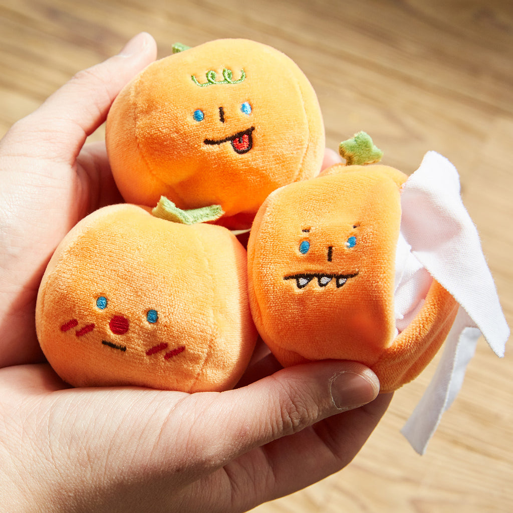 Tangerines Nosework Toy
