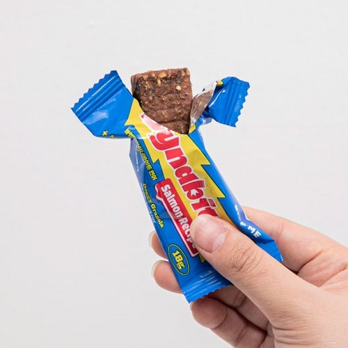 Dynabite Salmon (Antioxidant) - 1pc/8pcs