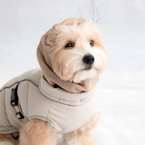 Double Heat Harness Padded Jacket - Solid (2 Colors)