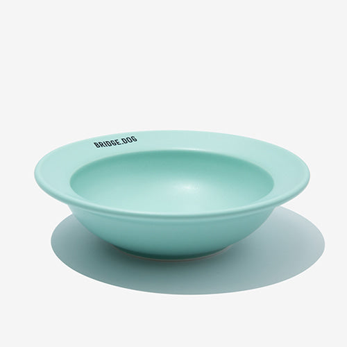 [In Stock] Mini Dish - Mint